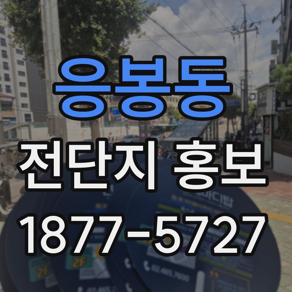 응봉동 전단지 홍보