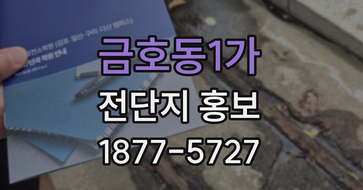 금호동1가 전단지 홍보