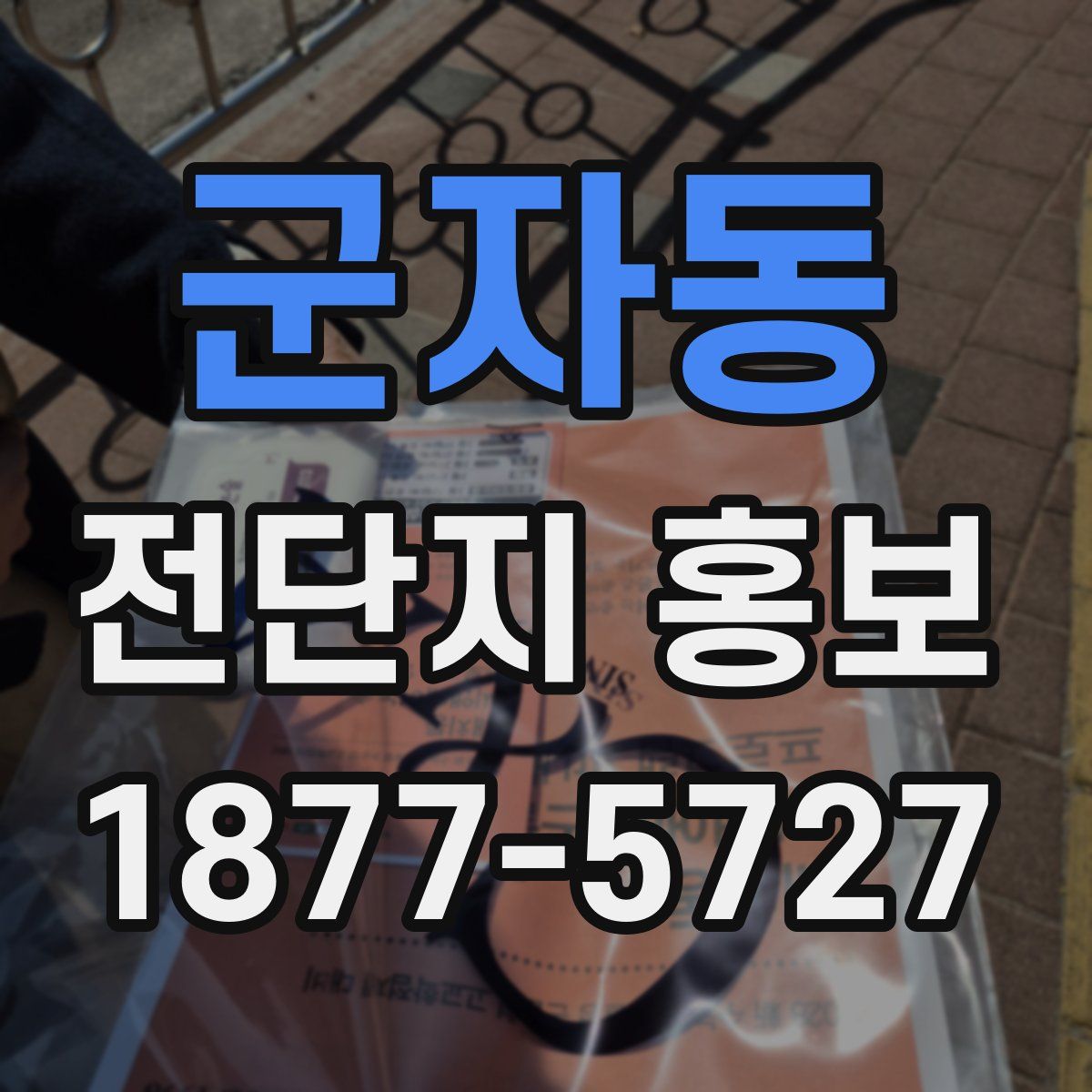 군자동 전단지 홍보