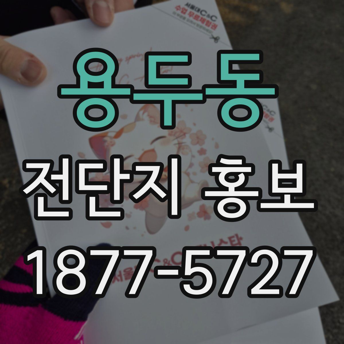 용두동 전단지 홍보