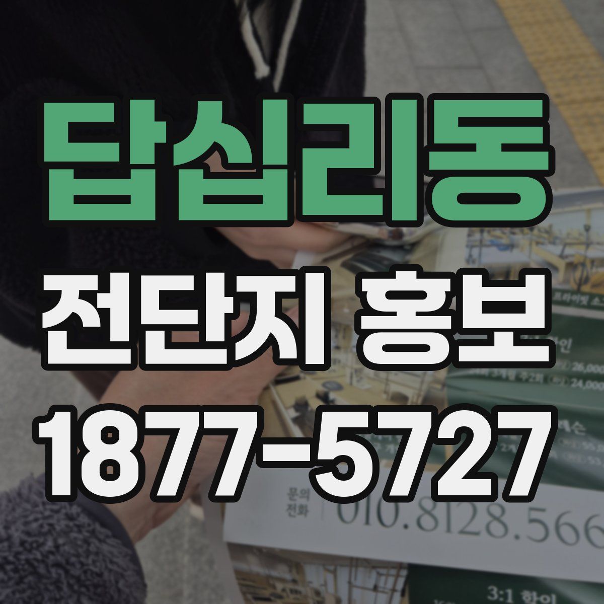 답십리동 전단지 홍보