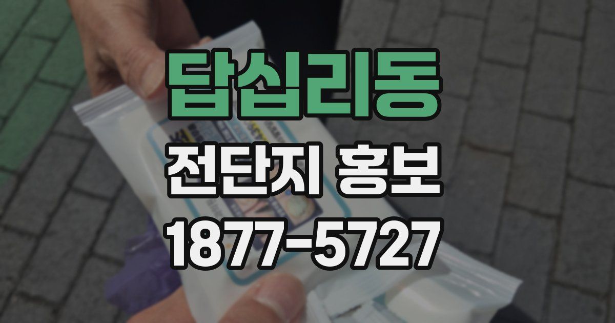 답십리동 전단지 홍보