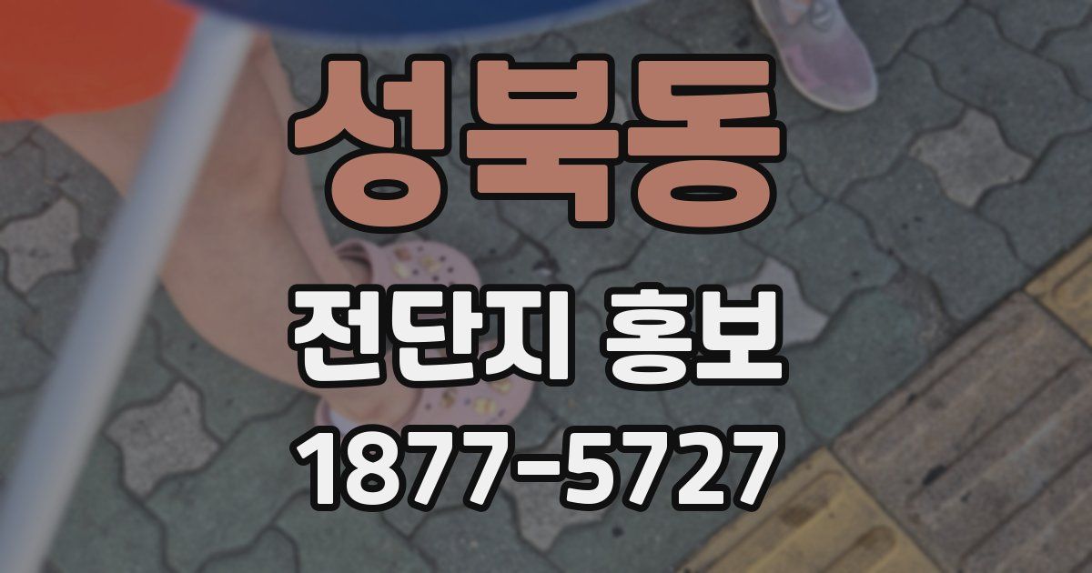 성북동 전단지 홍보