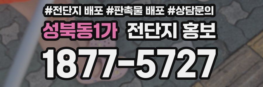 성북동1가 전단지 홍보