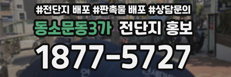 동소문동3가 전단지 홍보