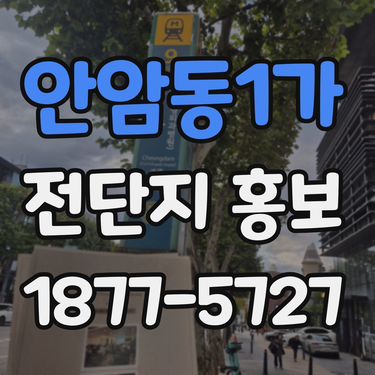 안암동1가 전단지 홍보
