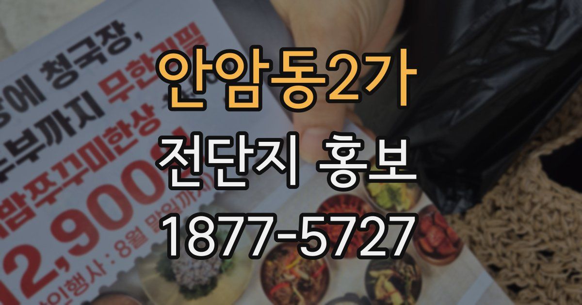 안암동2가 전단지 홍보