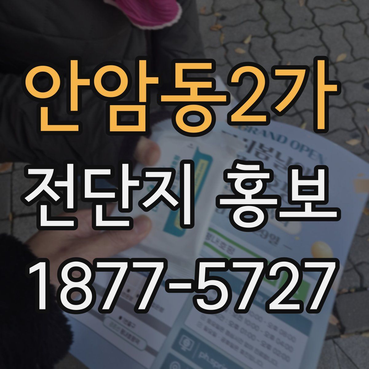 안암동2가 전단지 홍보