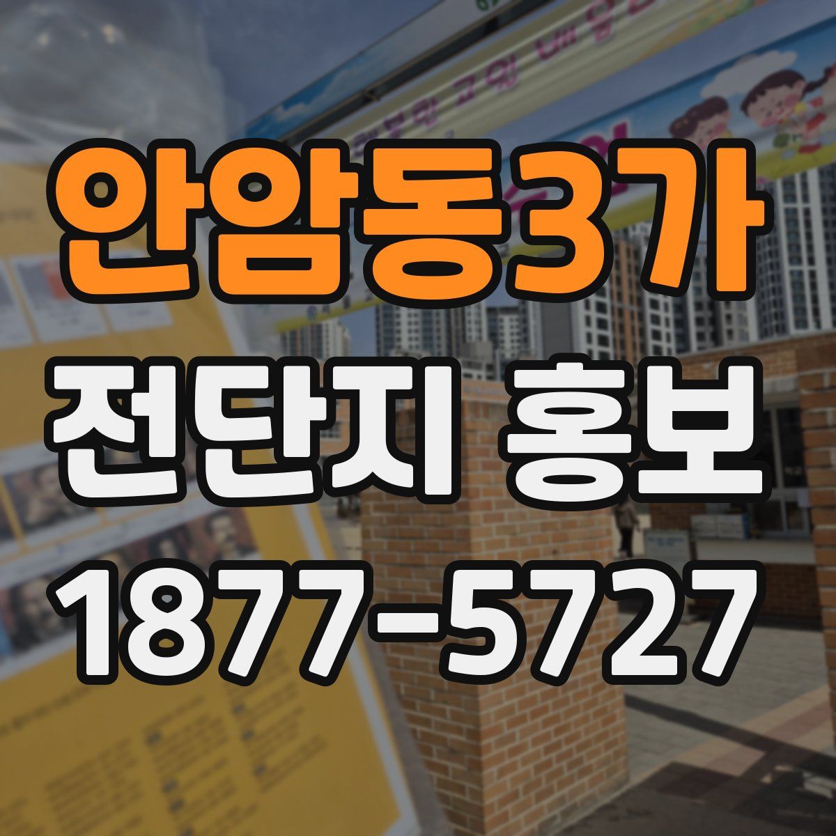 안암동3가 전단지 홍보
