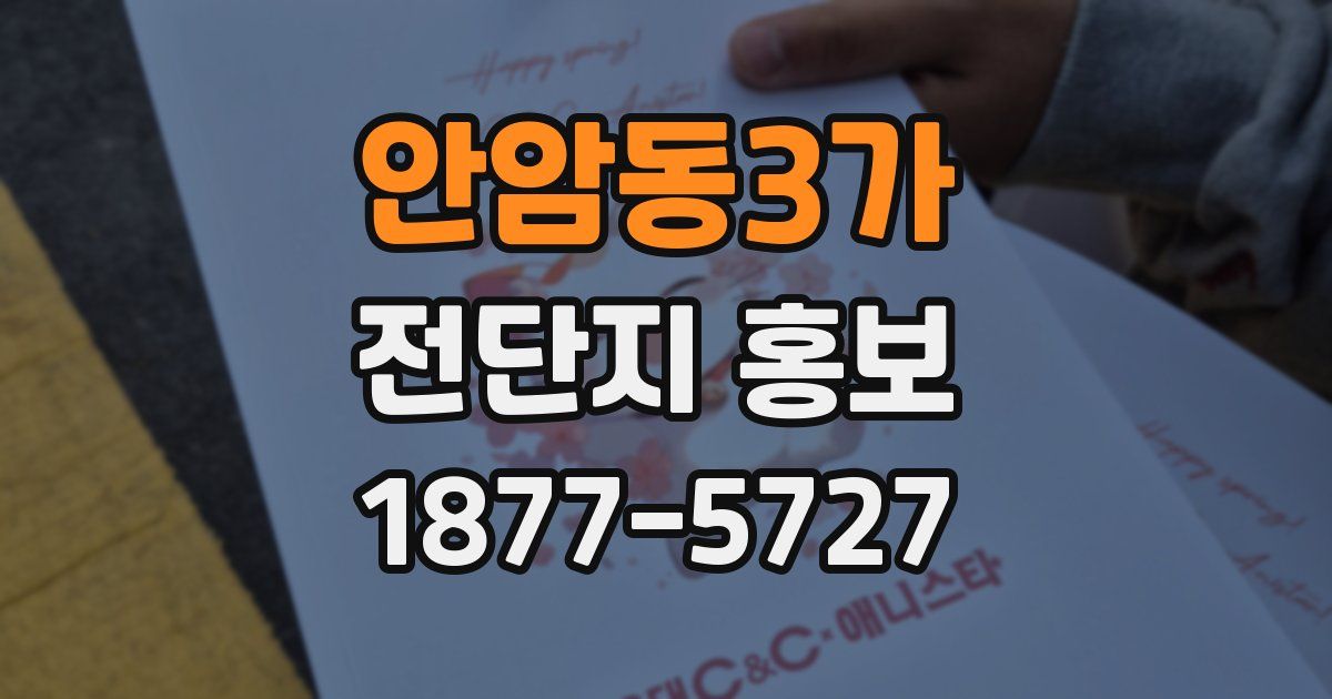 안암동3가 전단지 홍보