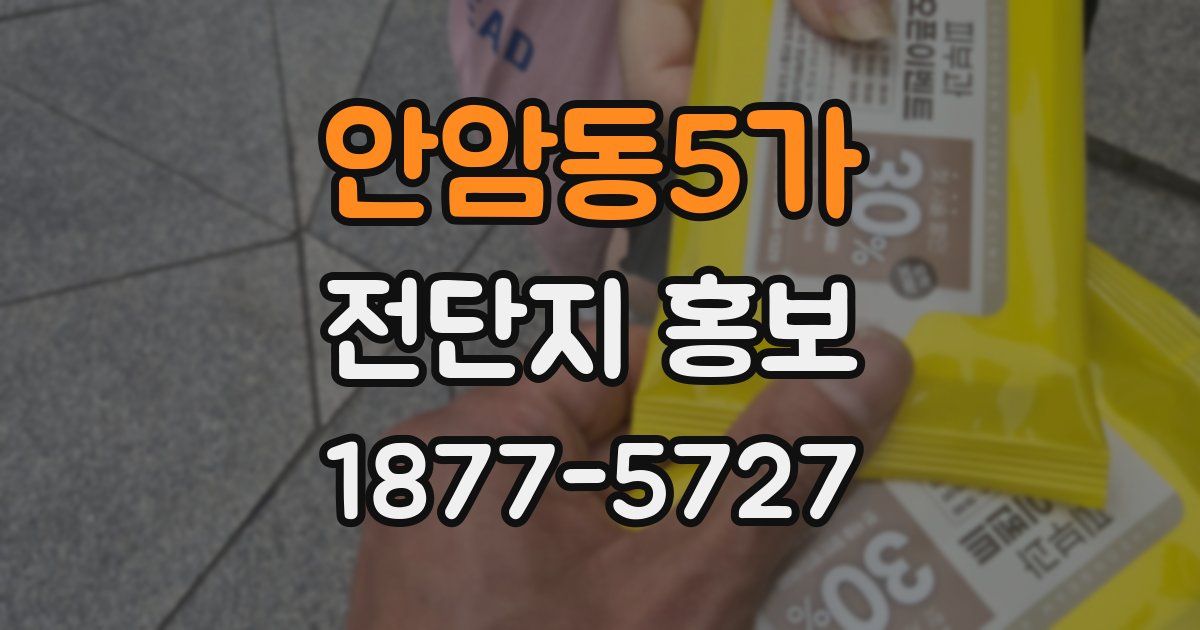 안암동5가 전단지 홍보