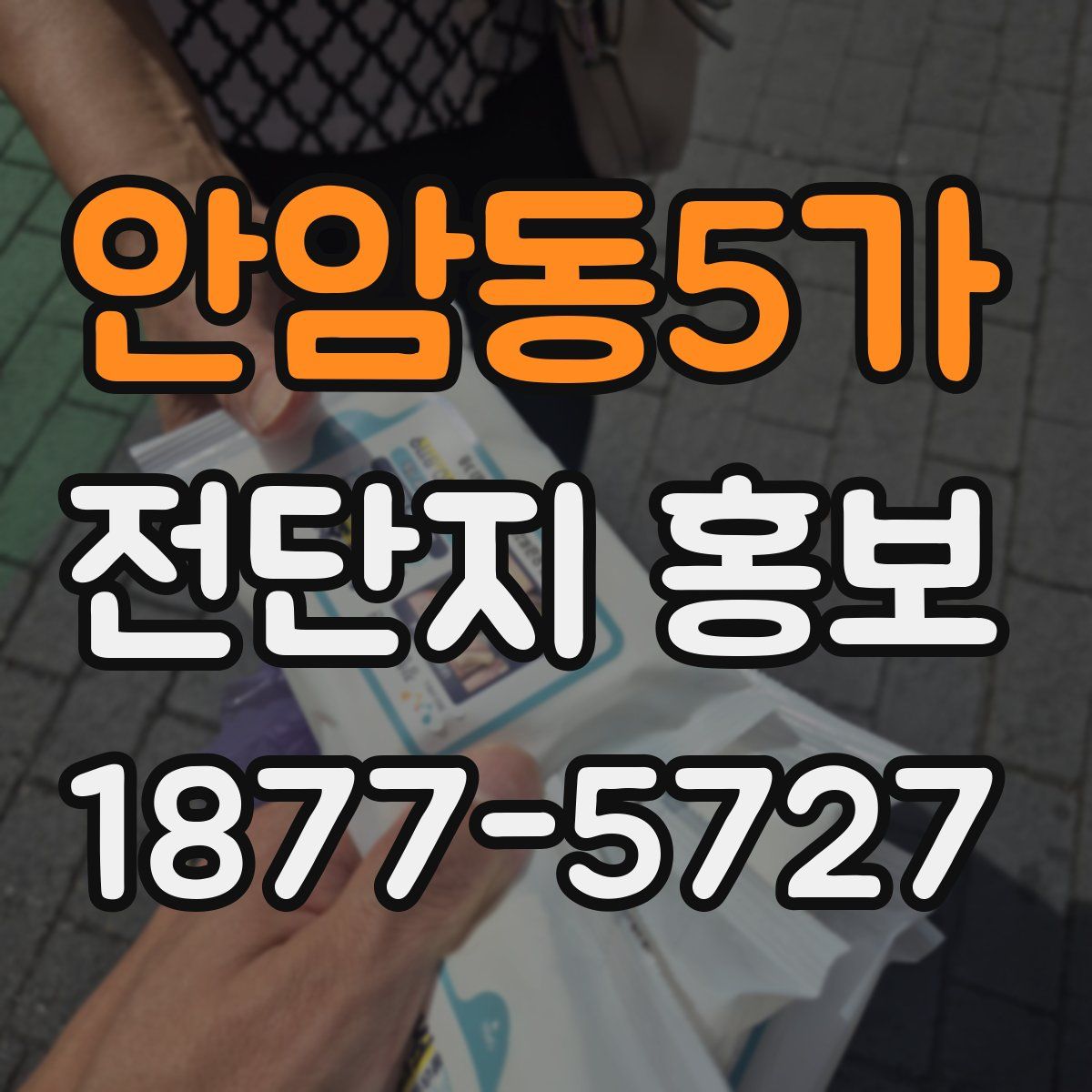 안암동5가 전단지 홍보