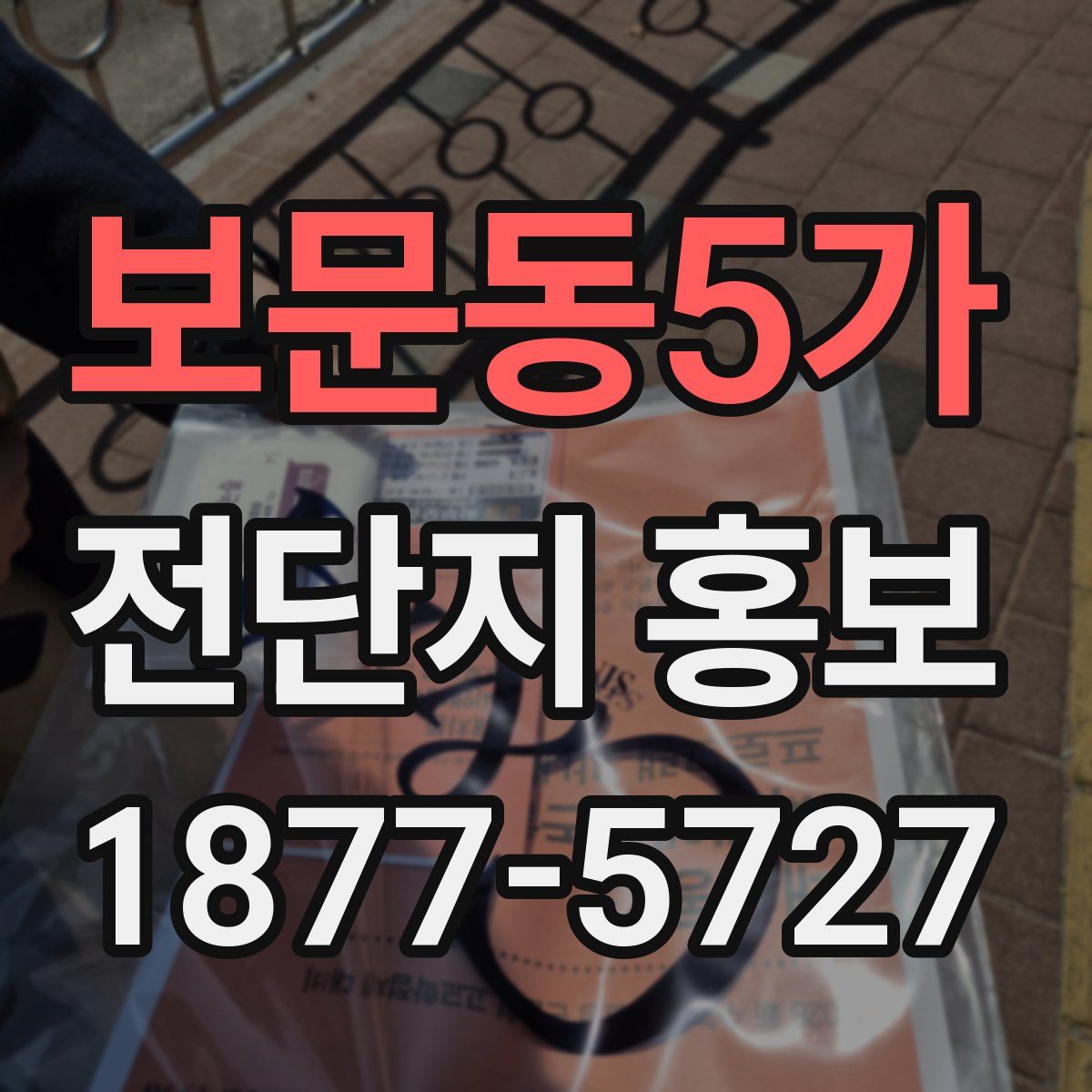 보문동5가 전단지 홍보