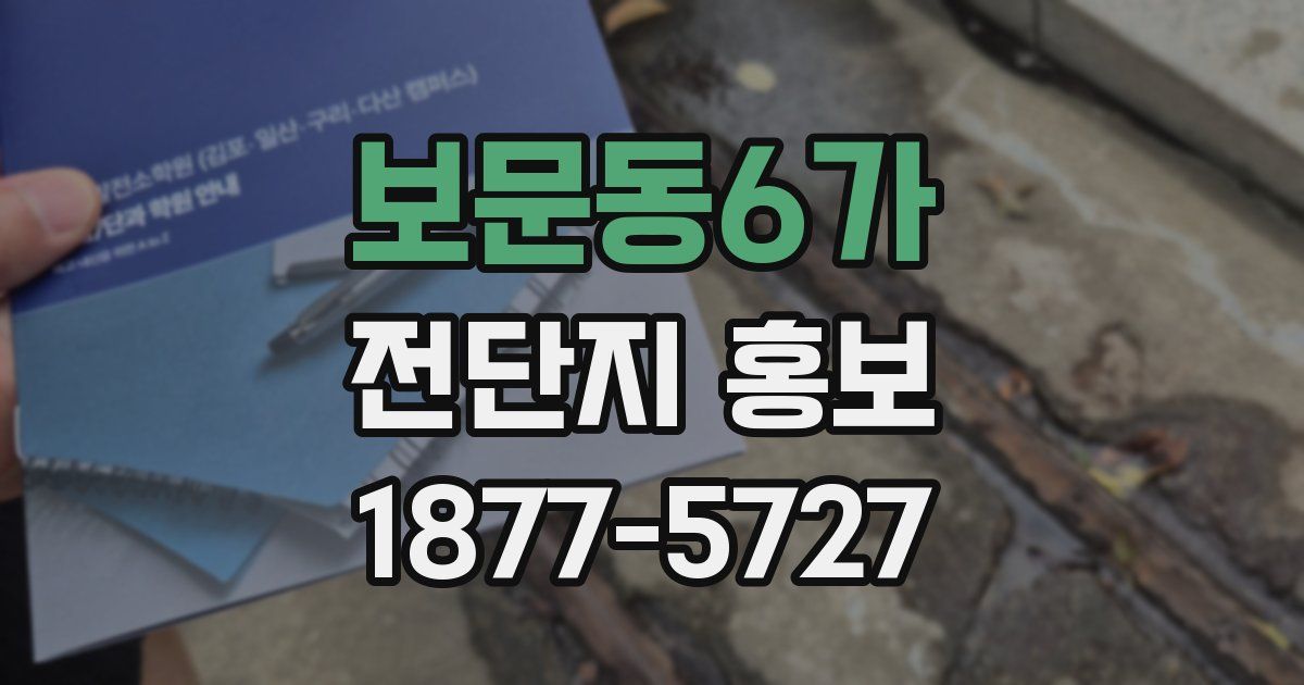 보문동6가 전단지 홍보