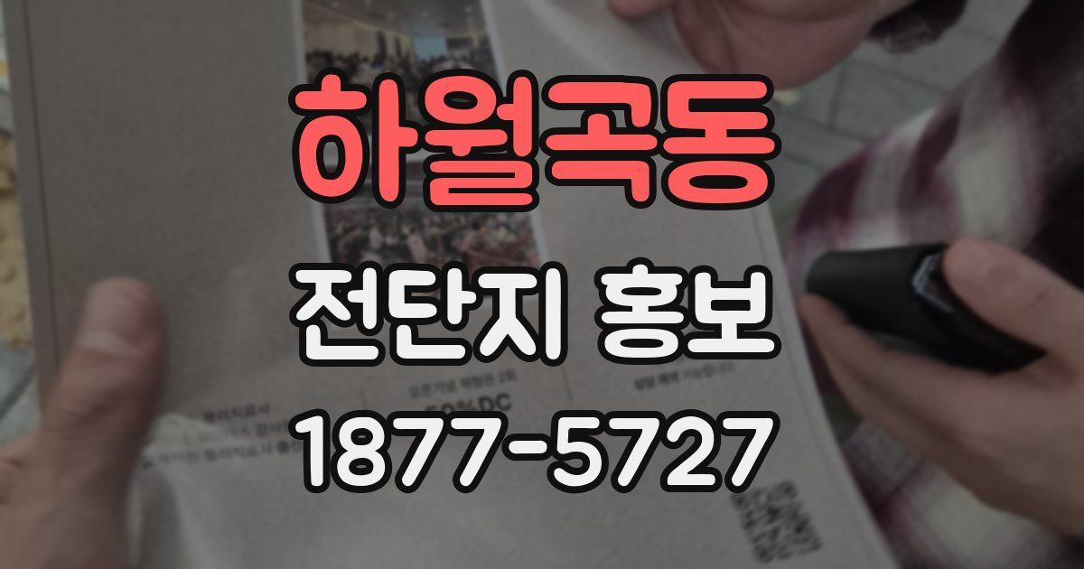 하월곡동 전단지 홍보