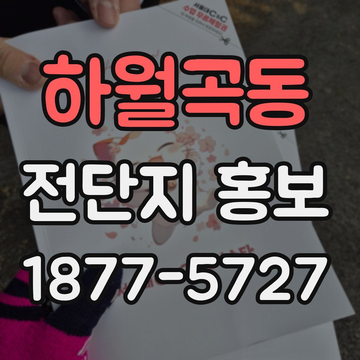 하월곡동 전단지 홍보