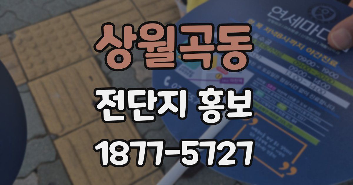 상월곡동 전단지 홍보
