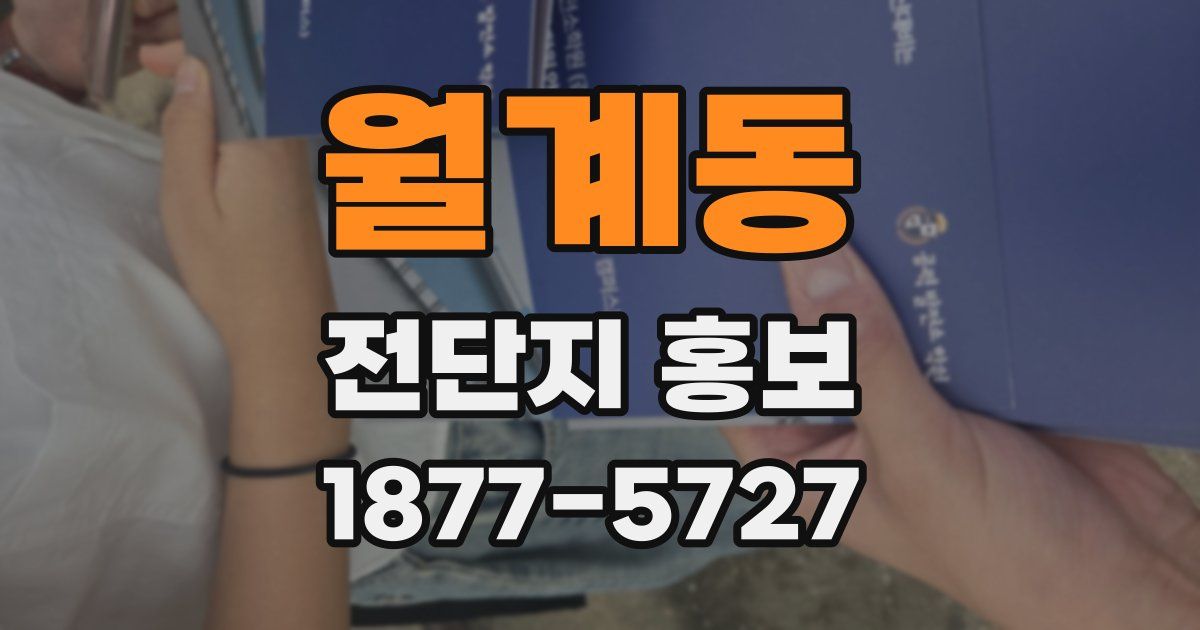 월계동 전단지 홍보