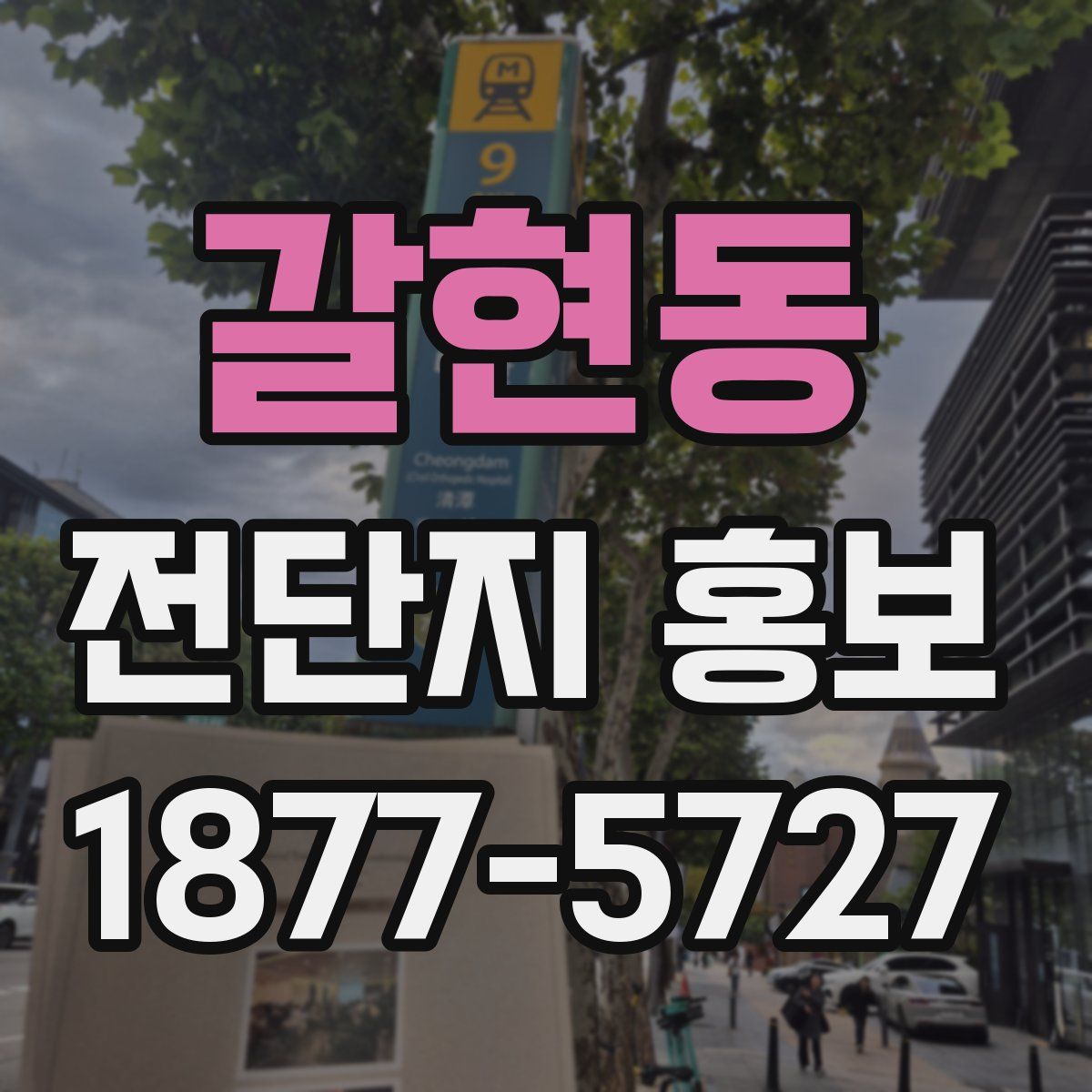 갈현동 전단지 홍보