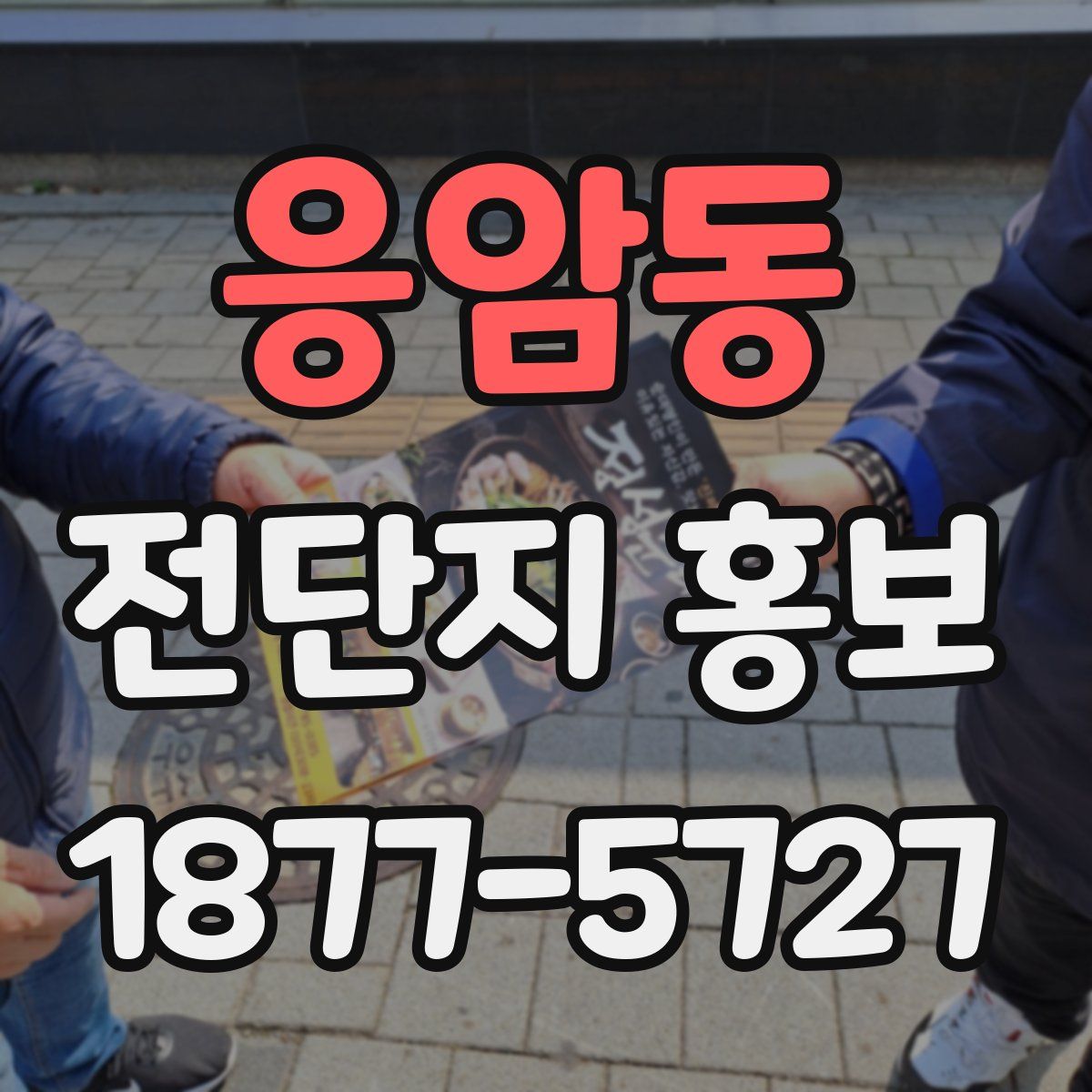 응암동 전단지 홍보