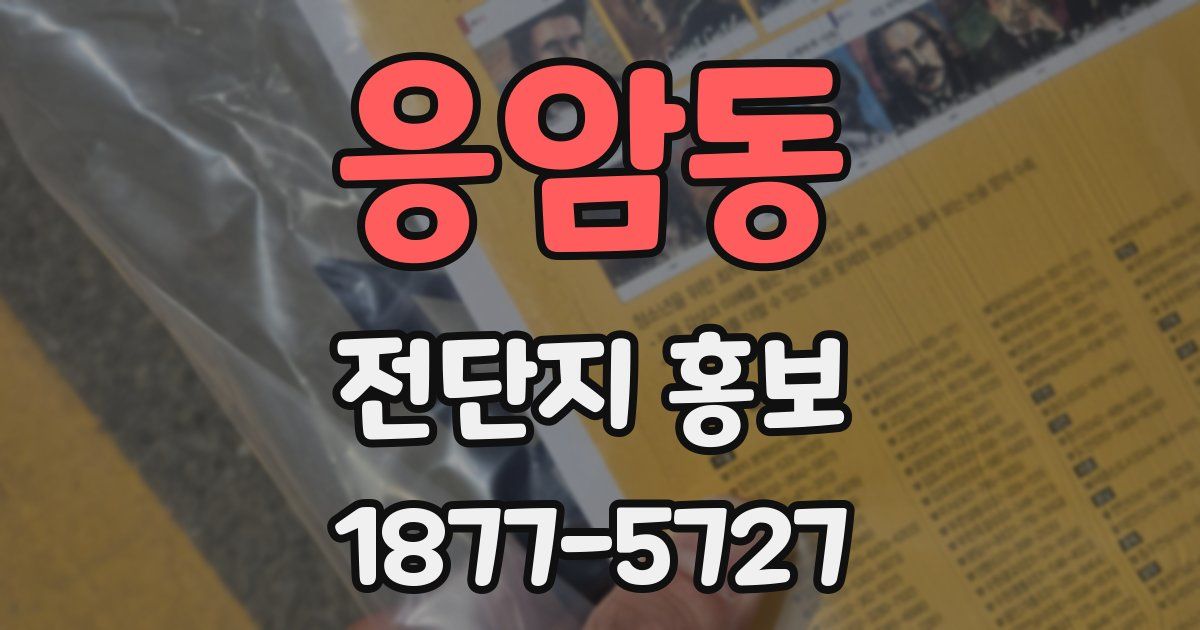 응암동 전단지 홍보