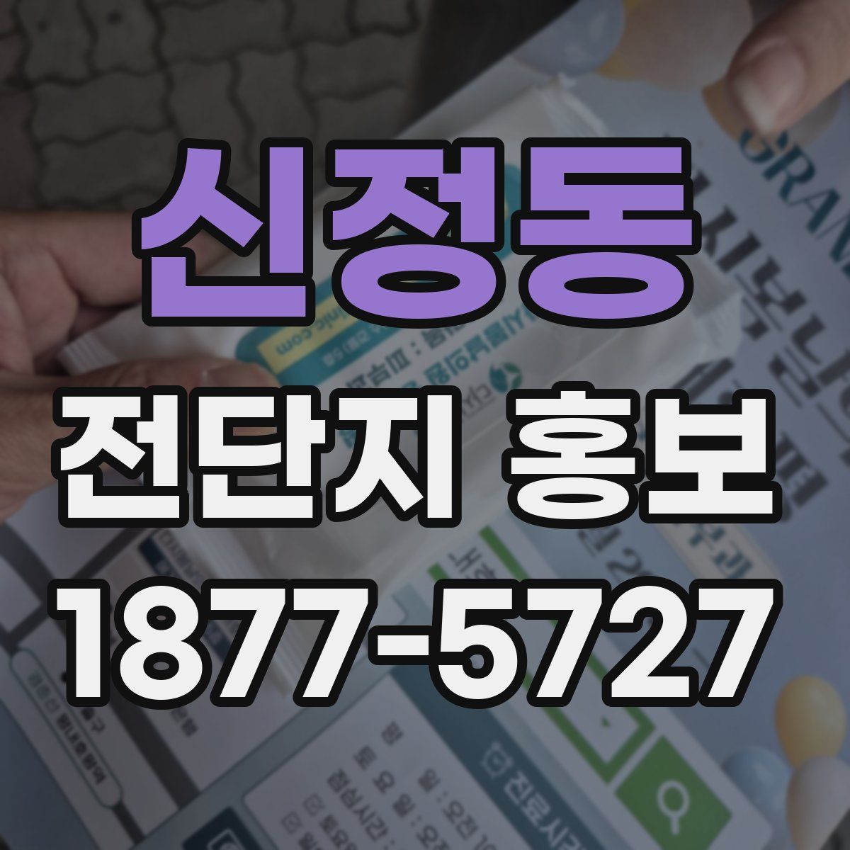 신정동 전단지 홍보