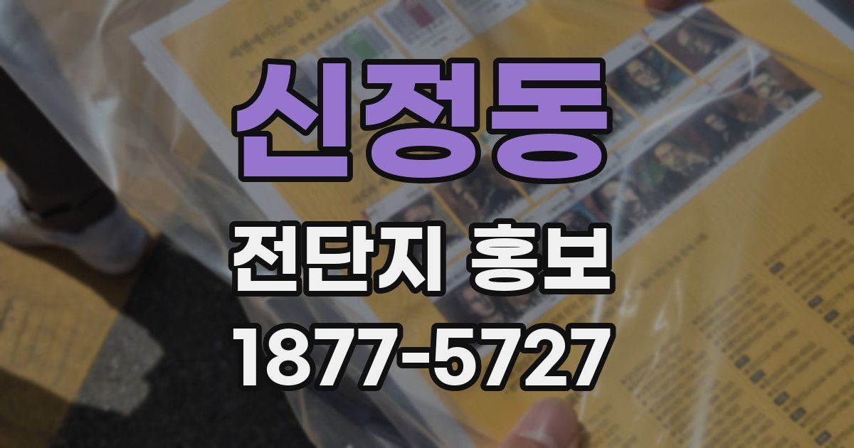 신정동 전단지 홍보