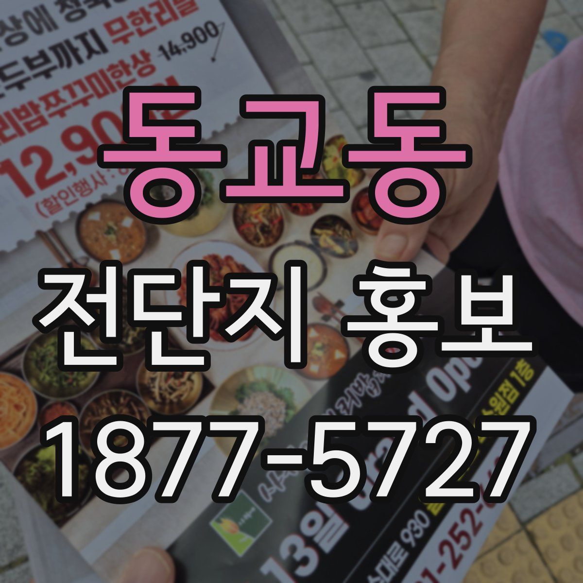 동교동 전단지 홍보