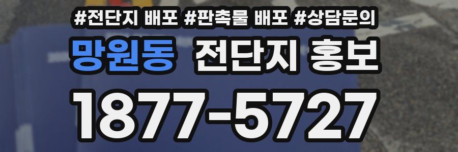 망원동 전단지 홍보