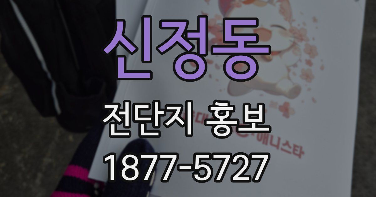 신정동 전단지 홍보