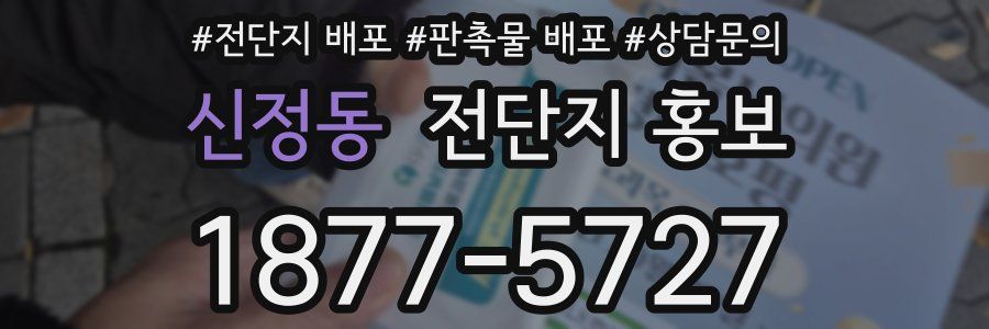 신정동 전단지 홍보