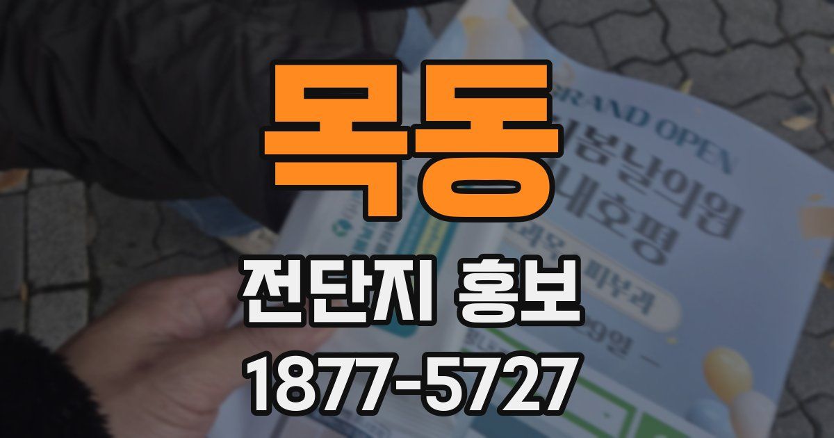 목동 전단지 홍보