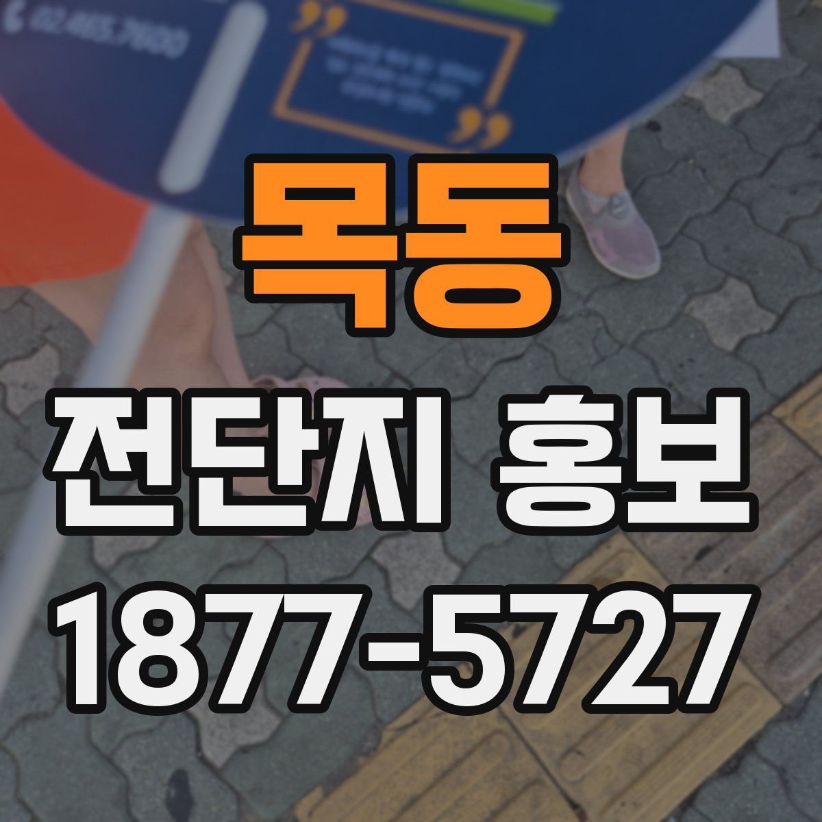 목동 전단지 홍보
