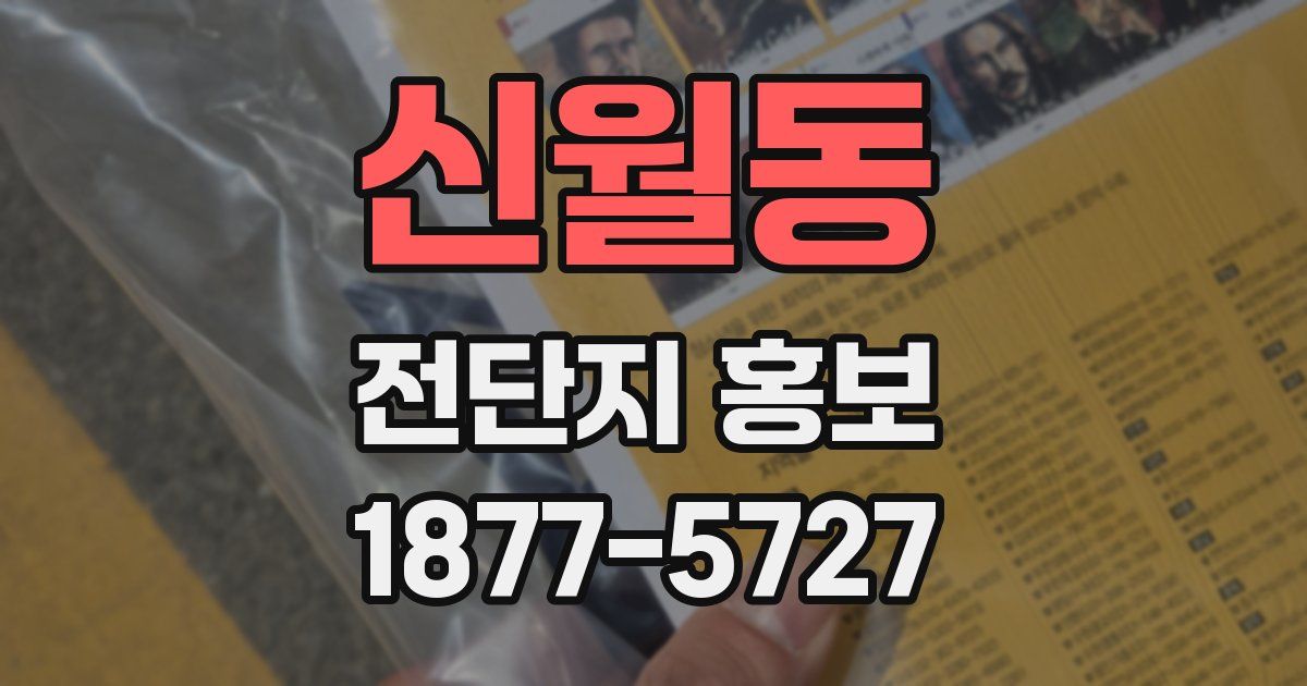 신월동 전단지 홍보