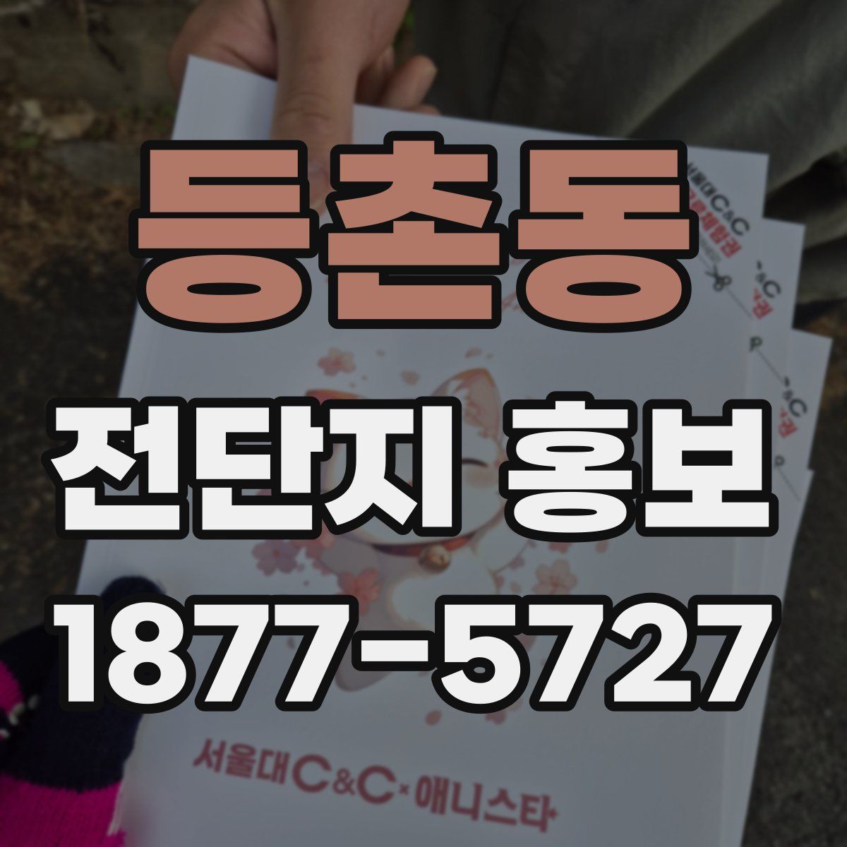 등촌동 전단지 홍보