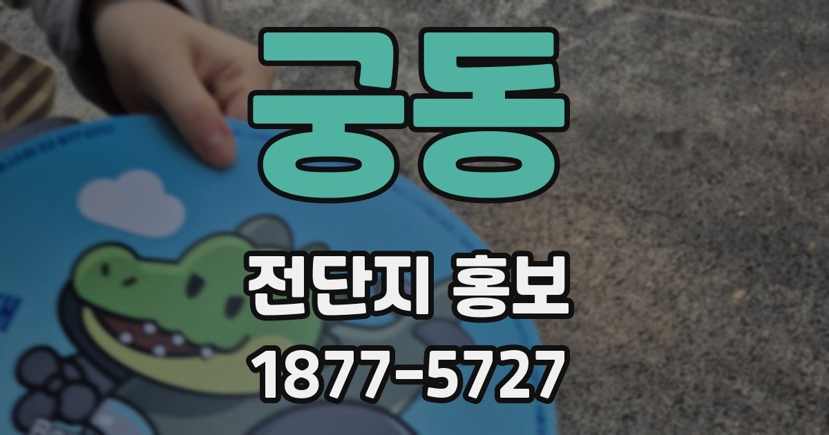 궁동 전단지 홍보