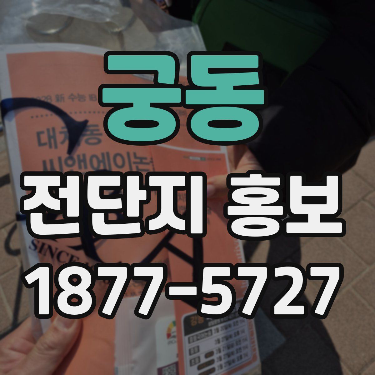 궁동 전단지 홍보