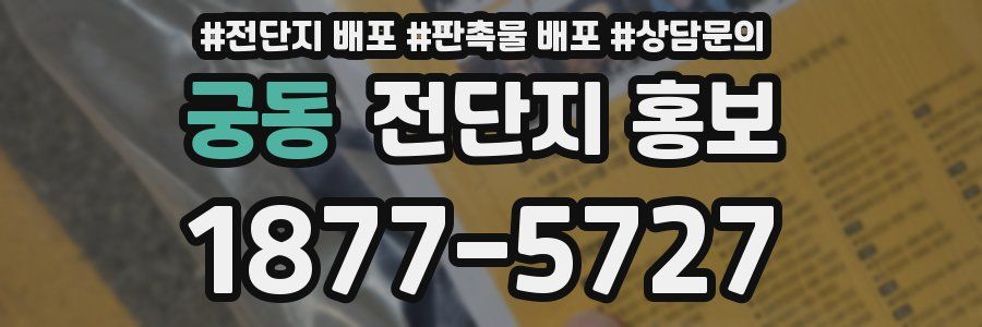 궁동 전단지 홍보