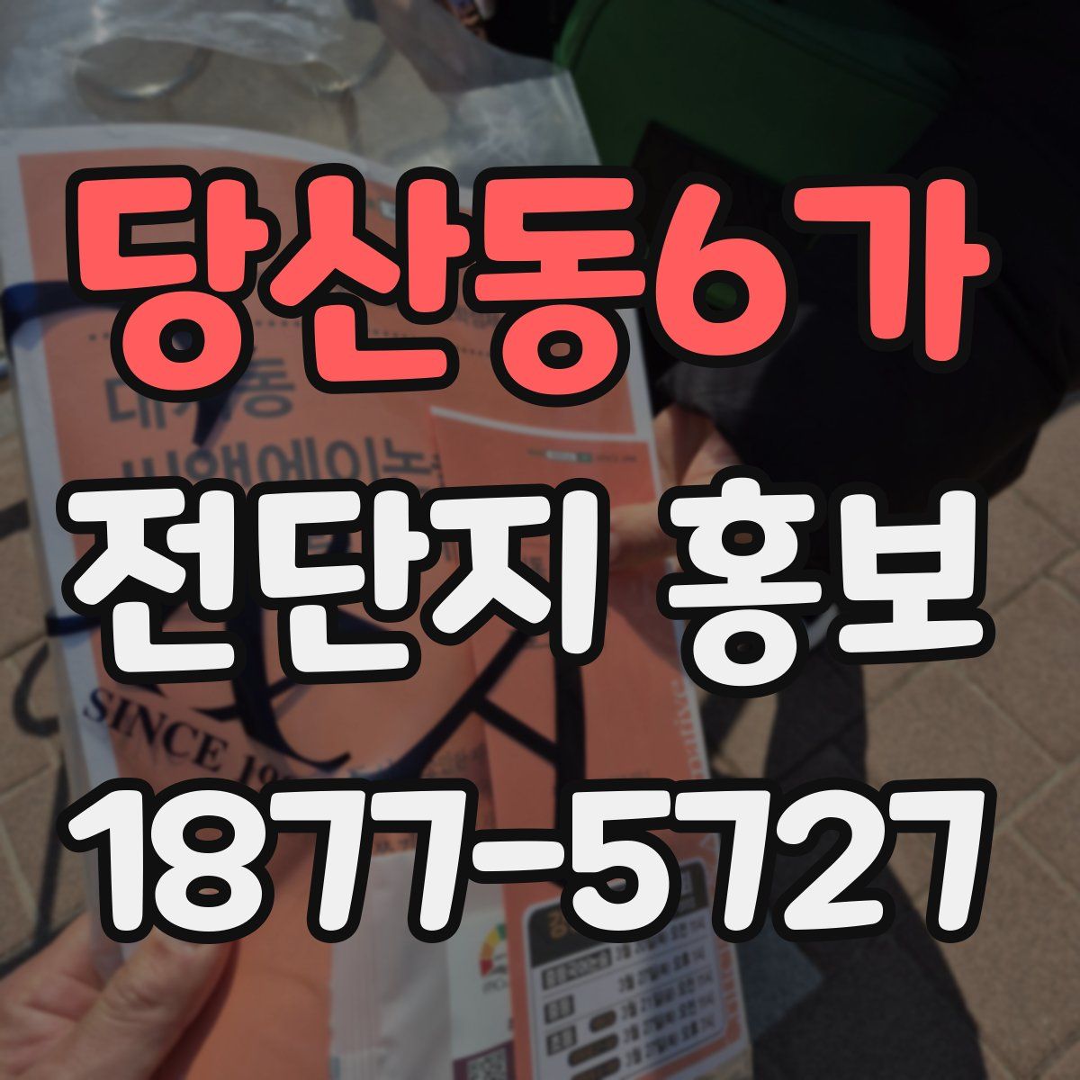 당산동6가 전단지 홍보