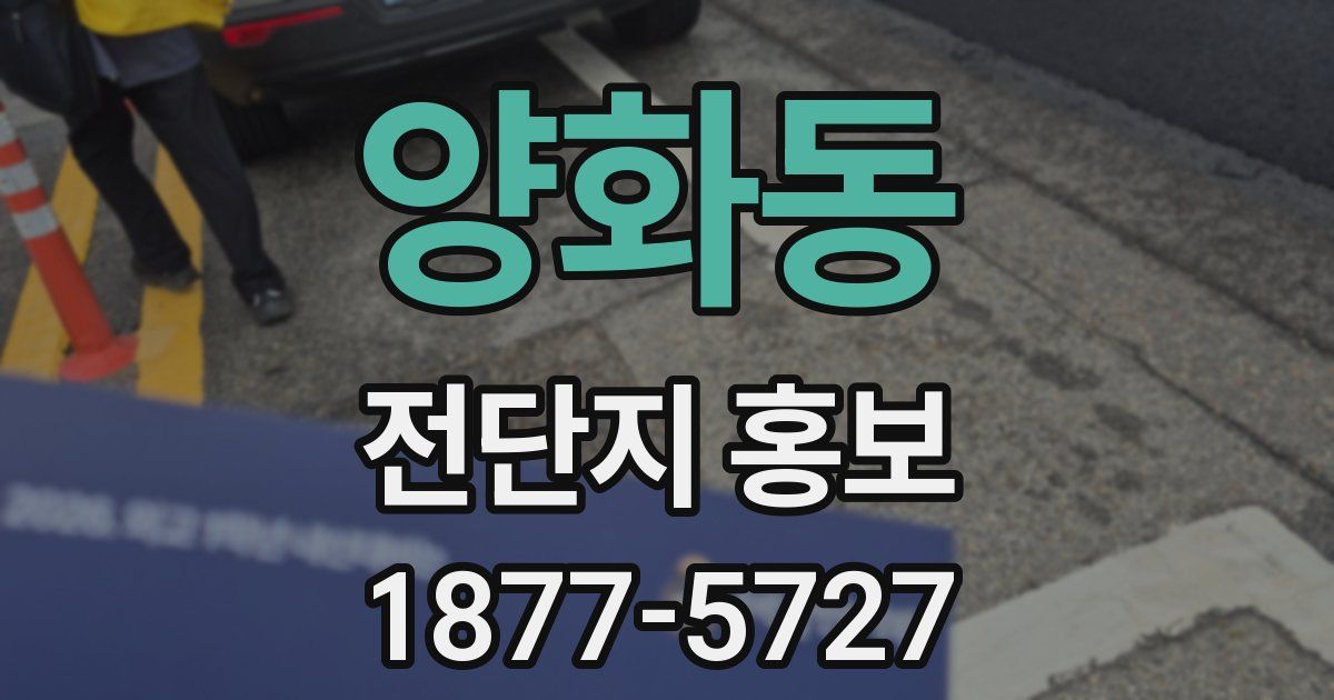 양화동 전단지 홍보