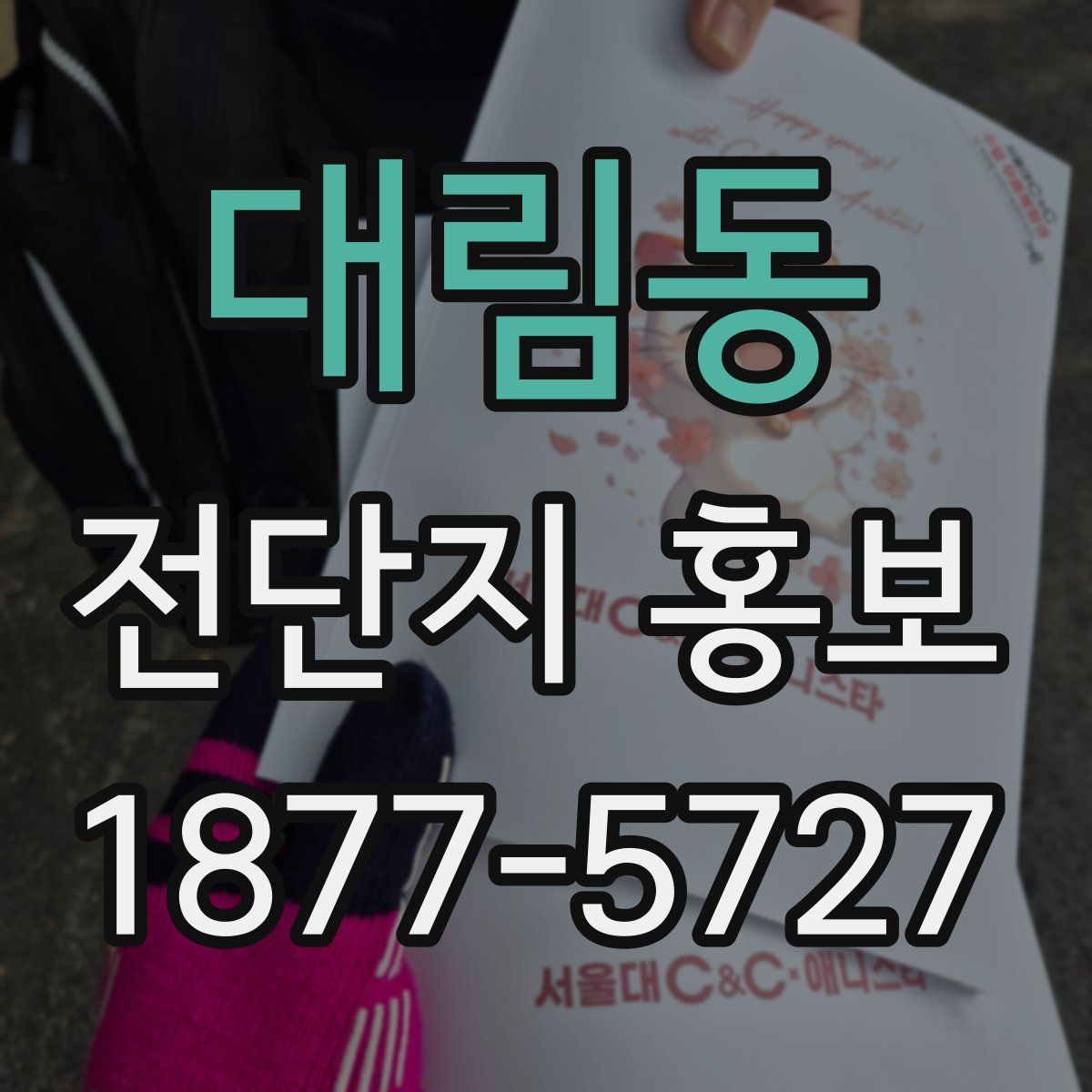 대림동 전단지 홍보