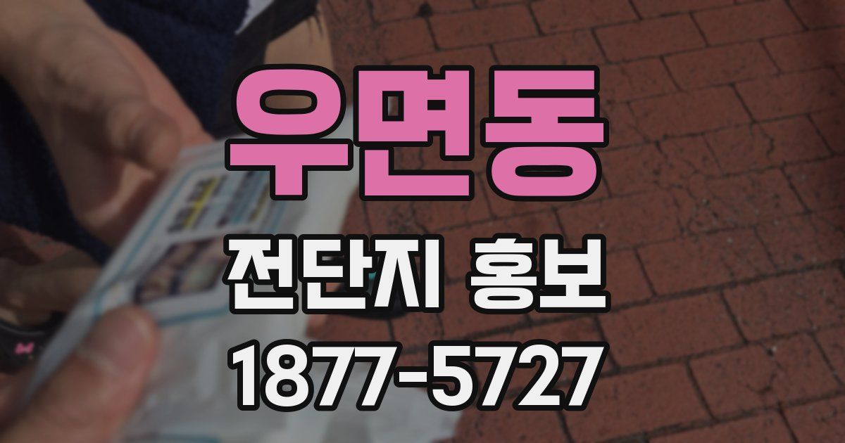 우면동 전단지 홍보
