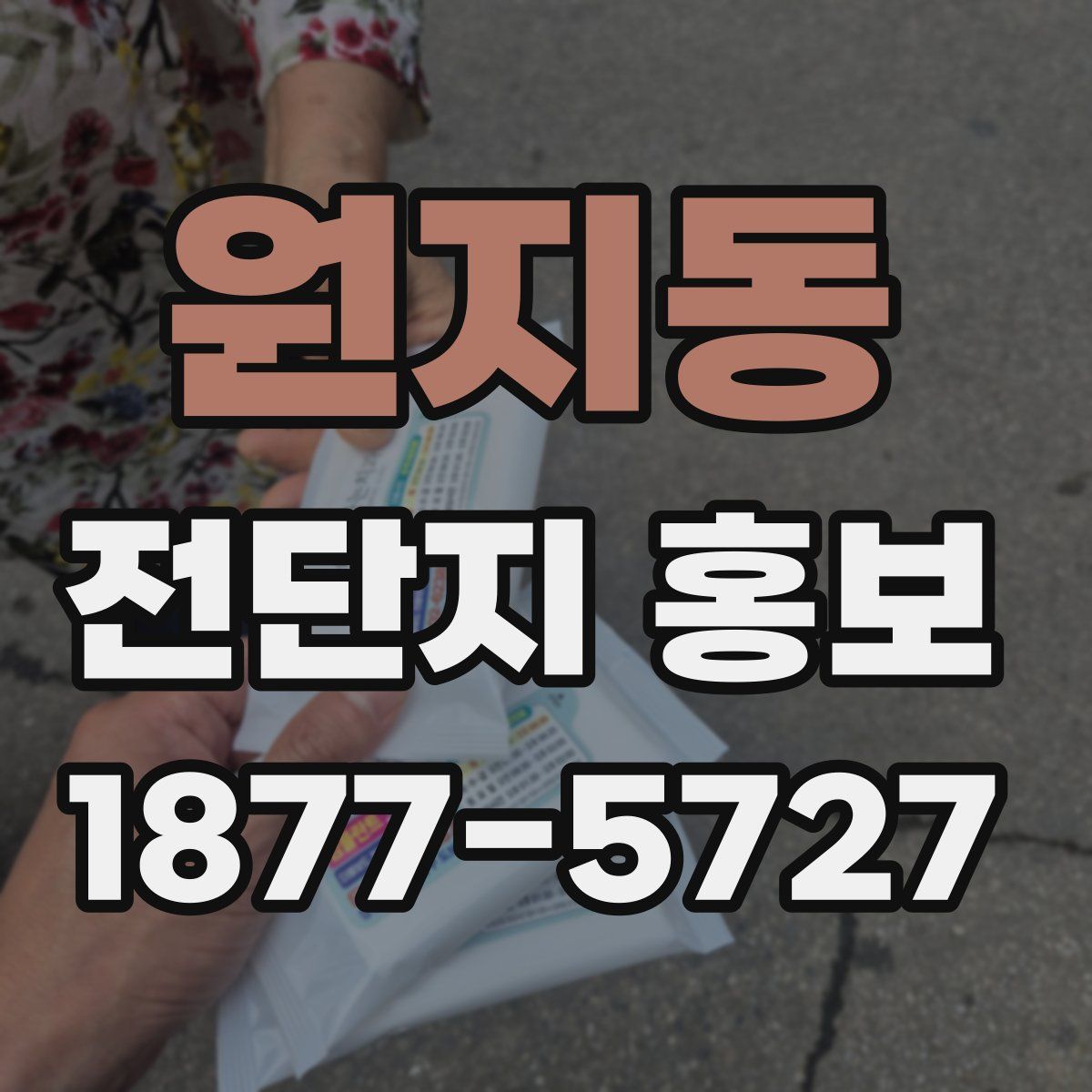 원지동 전단지 홍보