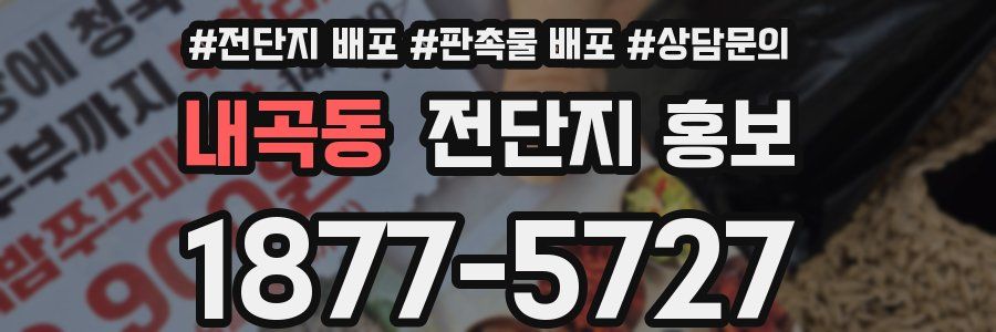 내곡동 전단지 홍보