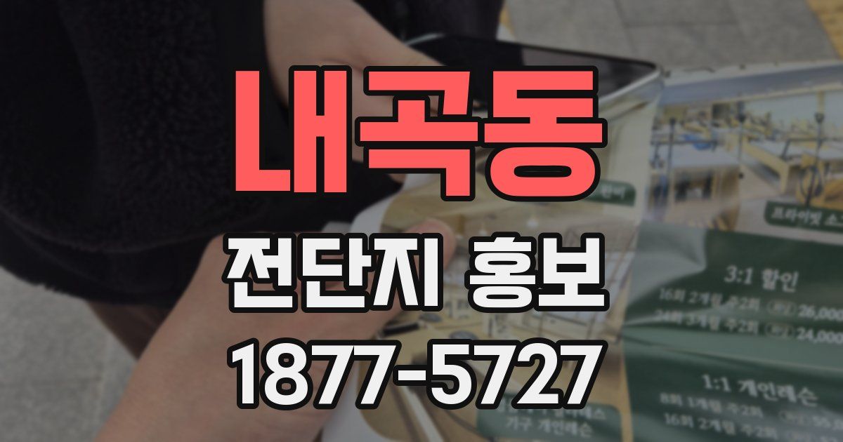 내곡동 전단지 홍보