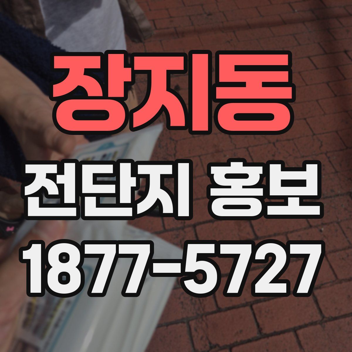 장지동 전단지 홍보