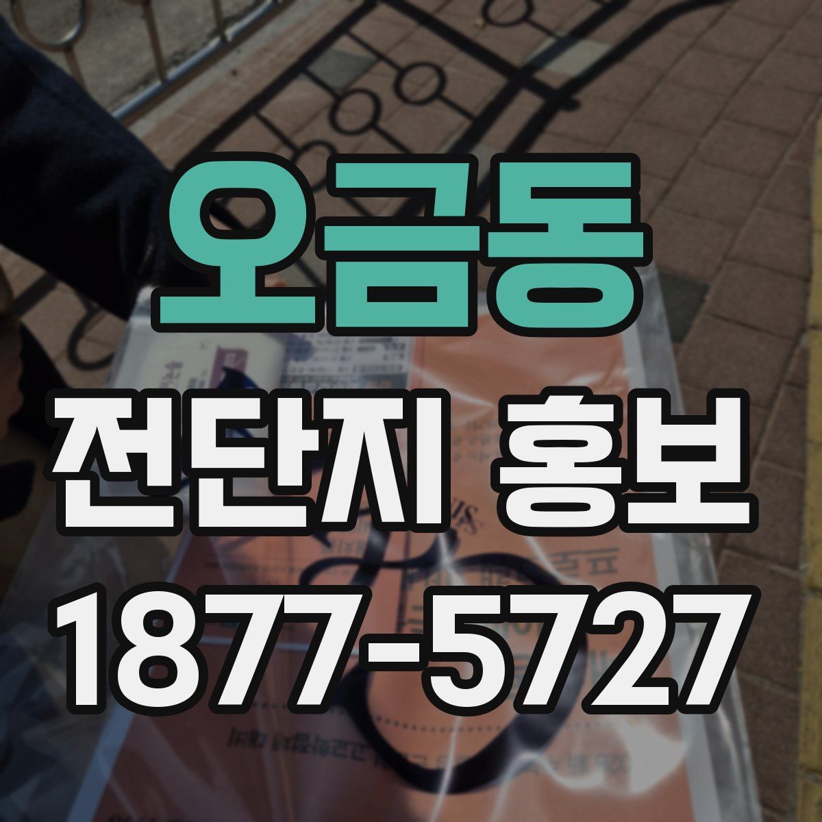 오금동 전단지 홍보