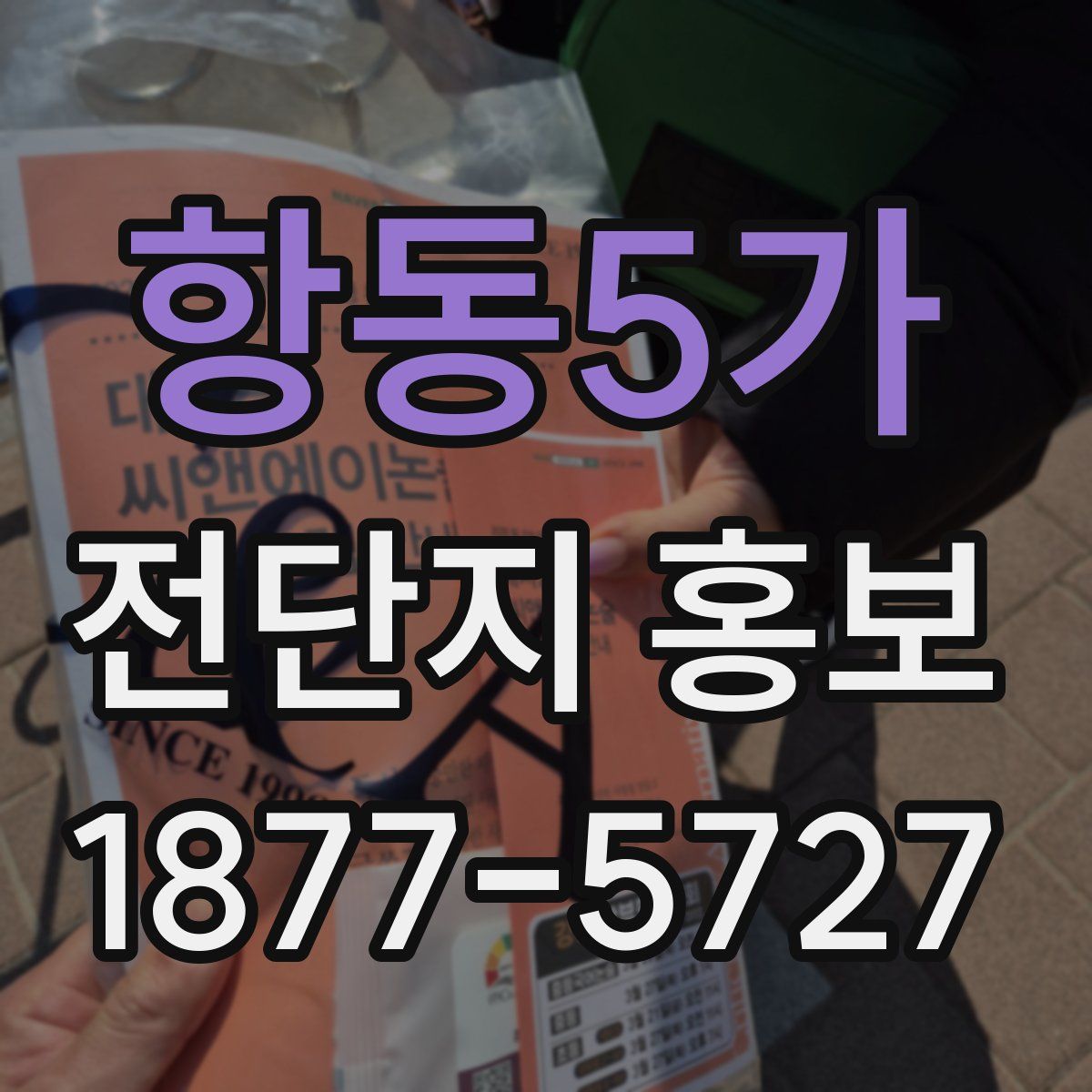 항동5가 전단지 홍보