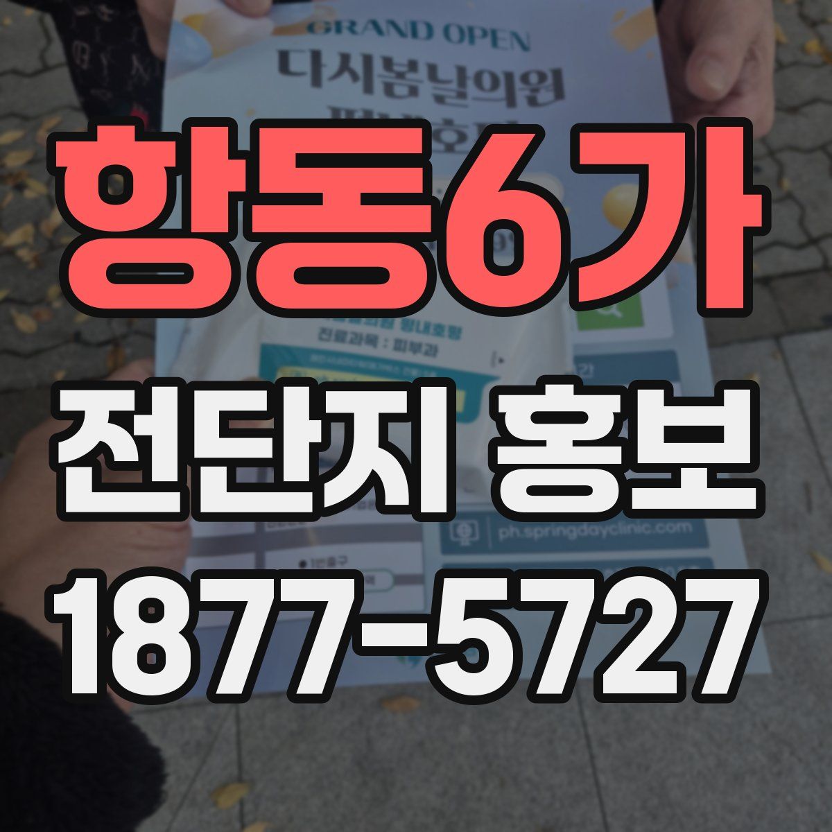 항동6가 전단지 홍보