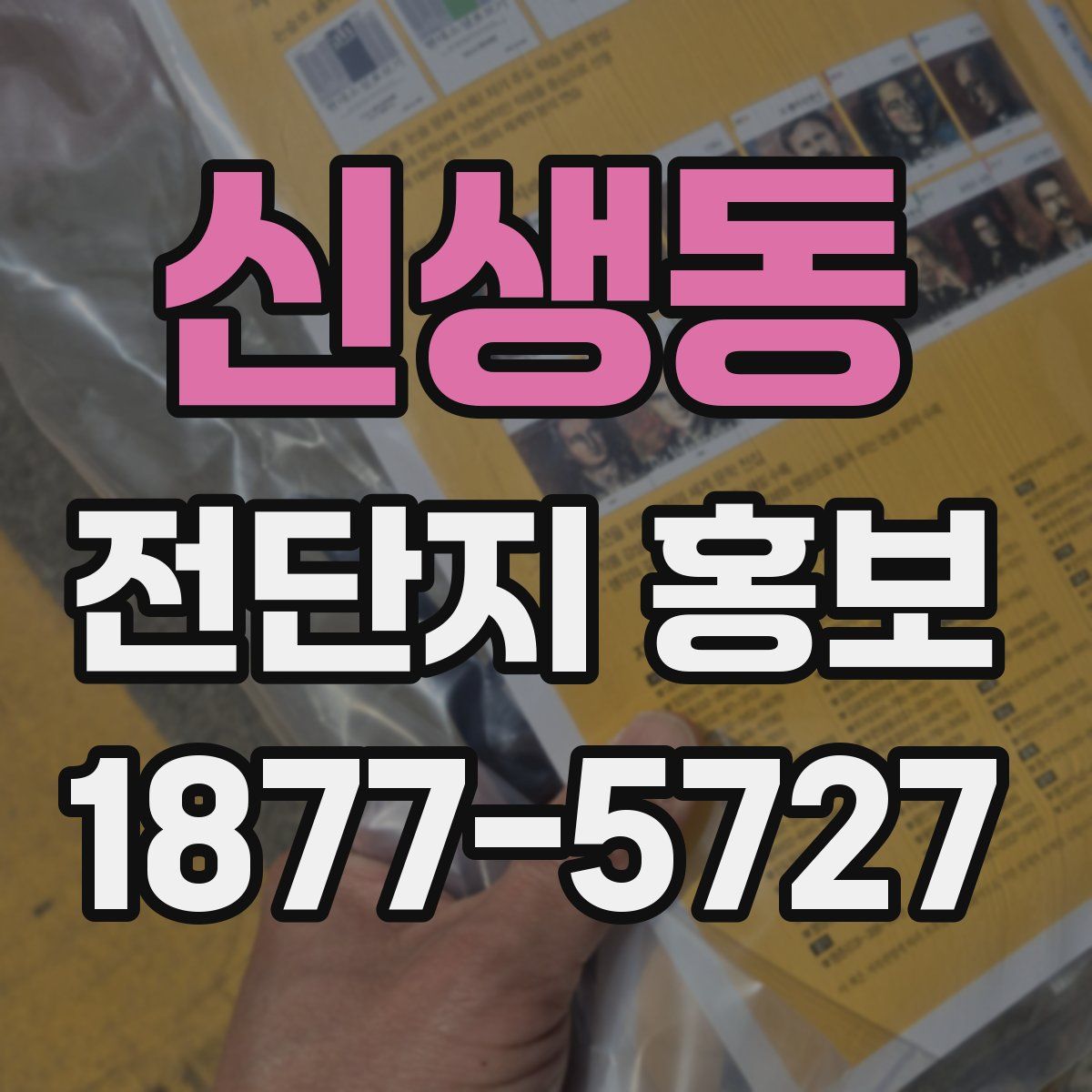 신생동 전단지 홍보
